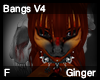 Ginger Bangs V4