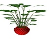 red vase plant 2