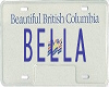 Bella License plate