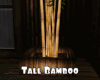*Tall Bamboo