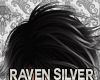 Jm Raven Silver