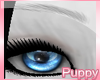 [Pup] Eyebrows Night