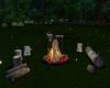 Picnic_bonfire