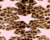 leopard & stars bckgroud