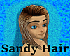 Sandy hair 01