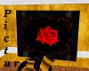 ~ One Red Rose Pic