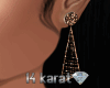 14k Sensual Earrings
