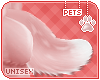 [Pets] Valerie | tail v4