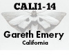 Gareth Emery California