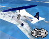 G9 Water Plane