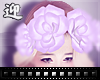 + Flowers lilac