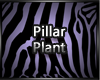 Pillar Plant