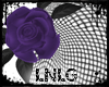 L:Rose Veil-Purple