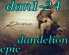 (shan)dan1-24 dandelion