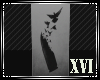 XVI | Bullet of Peace