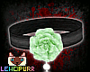  Fluorite Rose 
