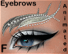 spikes silver brows ANI
