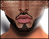 WC.Bryson Dark Skin