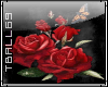june roses red sticker