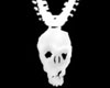 Skull w/bone necklace