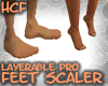 HCF Layer Feet Scale 65%