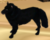 (i64) Black Wolfs Dog