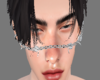 Face Barbed Wire