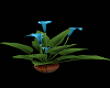 PHV Blue Lily w/Vase