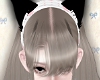 NNN.玳瑁 Lea