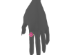Ring 4 VanCf Pink 1 L