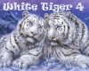 White Tiger 4