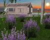 Lavender Garden
