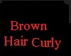 Brown Curly Hair 