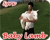 !! Sweety Baby Lamb