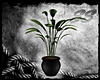 [SS] Sorrow Potted Plant