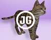 ☢ Bengal Cat