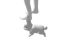 JC RABBIT