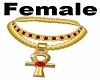Custom ANKH Gold Chain F