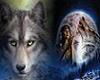 dream of wolf