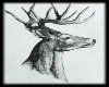 H|DeerSketche4