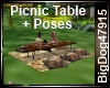 [BD] Picnic Table+Poses