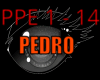 DNB | PEDRO