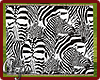Zebra Picture Print Rug