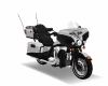LD BIKE POLICE