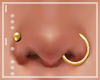 :Gold Nose Piercing