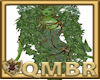 QMBR Leaf Boa