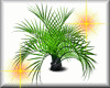 [JN] Palm plant animated