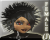 (J)DERIVABLE NOCTURNA