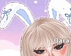 R.Your Bunny Ears -Blue