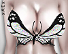 ▲ BUTTERFLY WHT